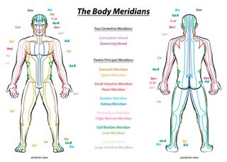 Chronic Pain Resources